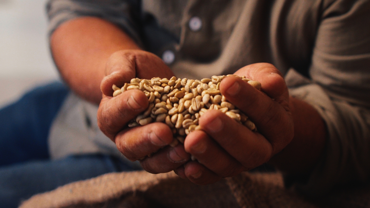 What Is artisanal aoffee?